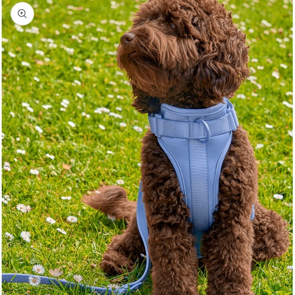 L - Wild One Dog Collar, Leash, Harness and Poop Bag Carrier NWT Blue - Picture 2 of 2